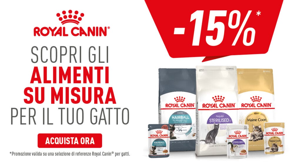 1080x608_Banner_Gatto_sconto15